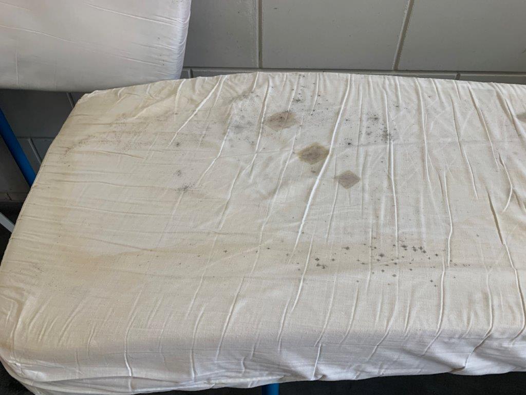 Mold mattress cleaning