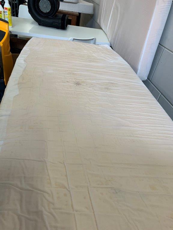 mattress cleaning mold