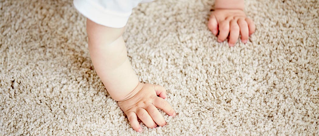 Careful carpet cleaning by UCC Services