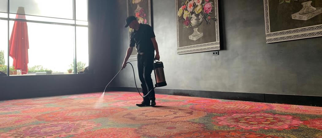 Hotel Carpet Cleaner